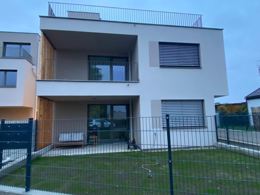 Modern Studio Gardenia_Gartenwohnung Alte Donau Wien Exterior foto
